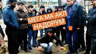 СУПЕР БАРНОМА#7. ш.ВАХДАТ САГЕРА ДЕВОНА БДАЙ