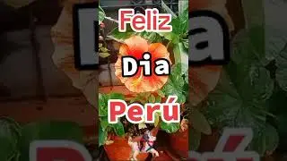 #shorts Día del Perú 🇵🇪🇵🇪