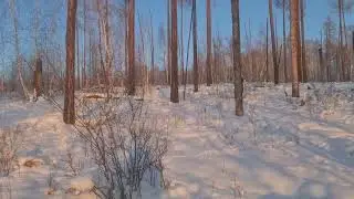 Охота Тыва 2022
