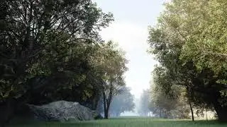 Walk in the Forest Loop FREE Ue5