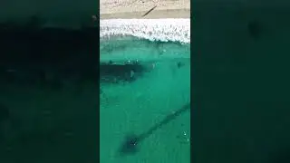 Пляж Клеопатры. Самы популярный пляж в Турции!
