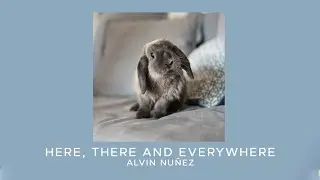 Alvin Nuñez - Here, There And Everywhere (Sped Up)