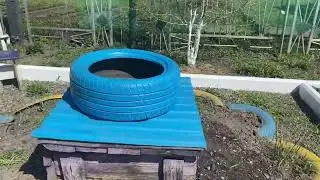 Мы в огороде! красим, сажаем цветы 9.05.24