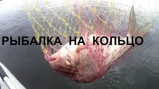 135 Еще одна рыбалка - ловля леща на кольцо с эхолотом.// Садятся лещи, подлещики, густера.
