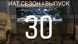 Интерактивный аквариумный туризм Сезон 4 Выпуск 30 - Ничего не понятно, но очень интересно!