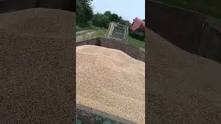 #farming #automobile #agriculture #farm #farmer #сільськежиття #machine  #nature #farmlife #комбайн