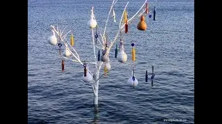 Турция Бодрум, поселок Ортакент. Отель petunya Beach Resort. Отдых в Турции