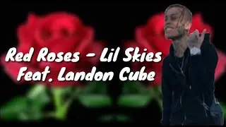 Red Roses - lil skies feat. Landon cube (full lyric video)