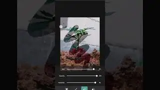 Pieces are pre-made images used to illustrate any medium.
