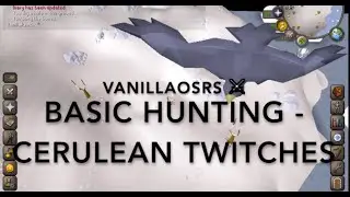 Cerulean Twitch OSRS Beginner Hunting Guide