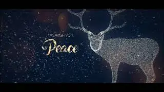 Christmas Greetings V | After Effects Template | After Effects Openers - Envato elements