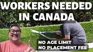 WORKERS NEEDED IN CANADA I NO PLACEMENT FEE I BUHAY SA CANADA