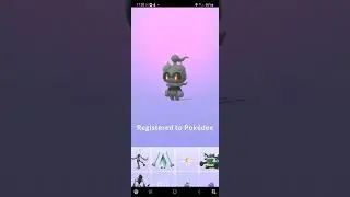 Pokemon Go Fest 2024 - catching Marshadow #gofest2024 #pokemongo
