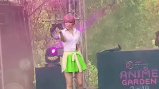 Anime Matsuri Day 2 - V Project