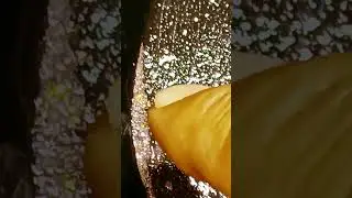 CRUSHING QUARTZ ROCKS WITH GOLD | GOLD PANNING #shorts  #gold