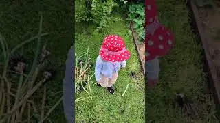 Мамина помощница в огороде!