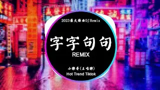 小樂哥（王唯樂）- 字字句句 (DJ抖音 Remix)【抖音热门歌曲】『他字字未提喜歡你 你句句都是我願意。』抖音 Hot Tiktok Douyin | Baozhang Remix