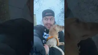 Я загоняла папу 🐕