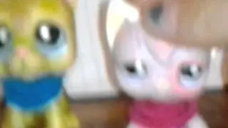 haspro,u make lps cry!New lps r accually lpdemons!
