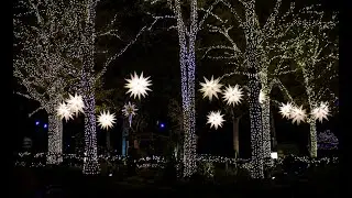 Holiday Traditions at Carowinds' WinterFest