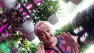 😱My head is spinning from all the information.🌺How to restore a petunia bush after late blight an...