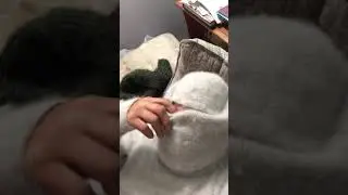 Angora fetish