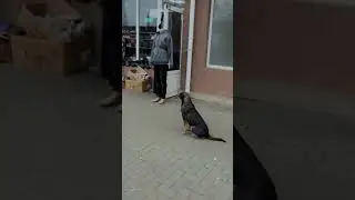 Николаев сегодня !
