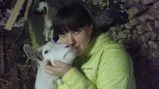 Пришла домой,а там....