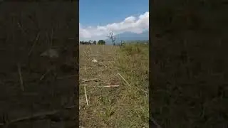 100 ha arjasari cipeteuy