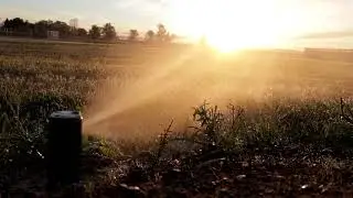 Sprinklers In Action Relax Calm Video