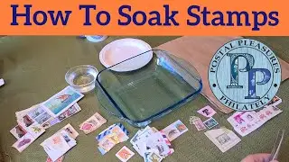 How To Soak Stamps - Tips On Removing Stamps From Paper For Beginner & Experienced Philatelists