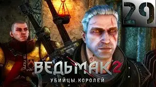 Ведьмак 2: Убийцы Королей Прохождение Часть 29 