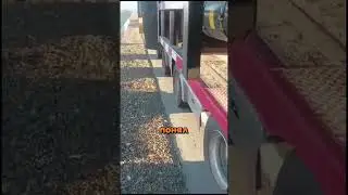 This could only happen to our driver!