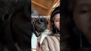 #horse #конный
