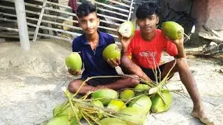 শুভজিৎ দাদা দের নারকেল গাছ থেকে কত গুলো ডাবা পারলাম আমি 😀#vlog #vairalvlog #banglavlog #dailyvlog