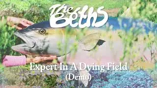 The Beths - Expert In A Dying Field (Demo) (Official Visualizer)