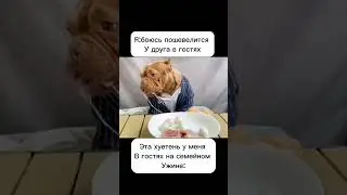 Друг в гостях#жиза#мем#прикол#собака#shorts