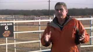 Cow Calf Corner: Enough Bull? (2/27/16)