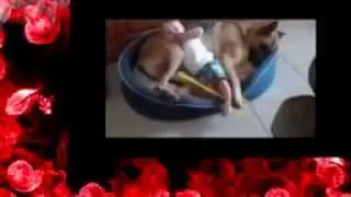 Дети и собаки# Смешные приколы с детьми