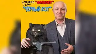 Чёрный кот
