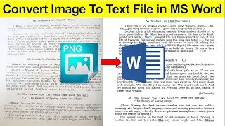 How to Convert Image to Text Document in Microsoft Word