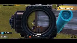 лучшее моменты от енота часть 5 #pubgmobile
