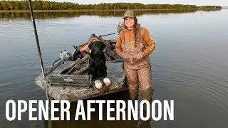 A Hawk Attacked Our Duck! || Waterfowl Hunting 2024
