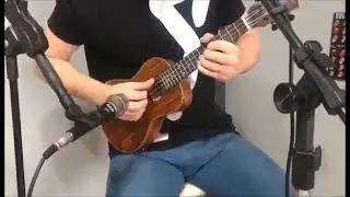SULTAINS OF SWING