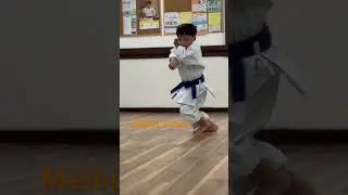 Heianshodan#kata #karate #空手 #cool