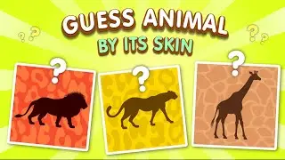 Guess the Animal by Its Skin | Animal Guessing Game