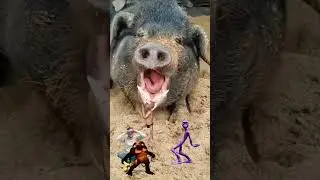 Funny Vfx video