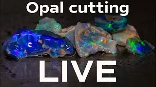 LIVE rough opal cutting session.