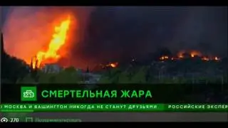 Дикая жара убивает людей