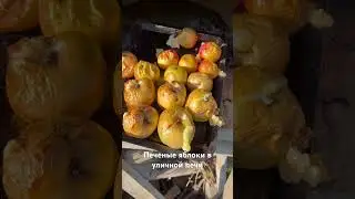 Запекаю яблоки в печи на углях #яблоки #еда #едадляжизни #печь #дисерт #готовимнадаче